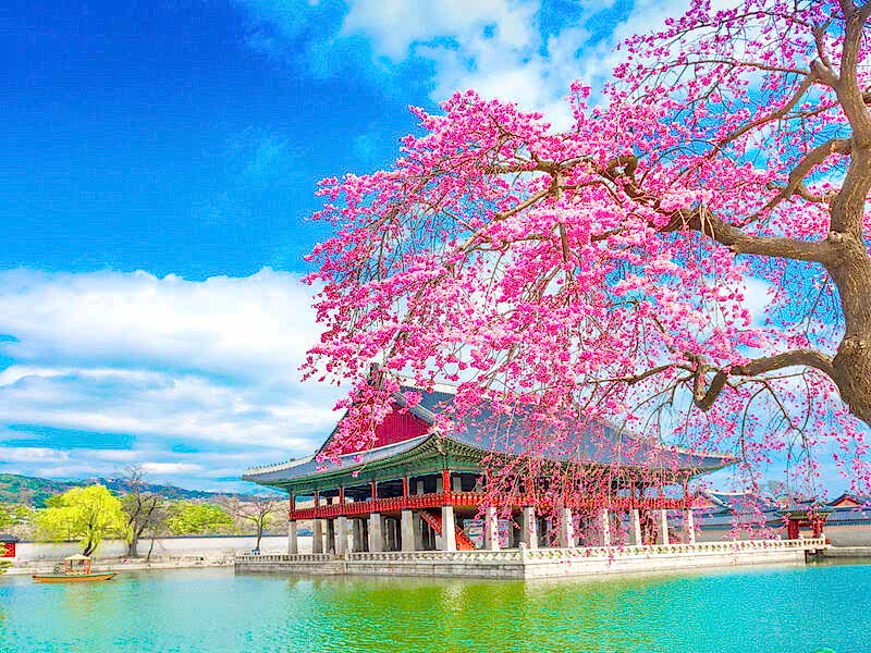 Comfort Japonya & Kore Turu Emirates Hava Yolları ile 8 Gece Ekstra Turlar ve Çay Seremonisi Dahil ICN-HND Ramazan Bayramı