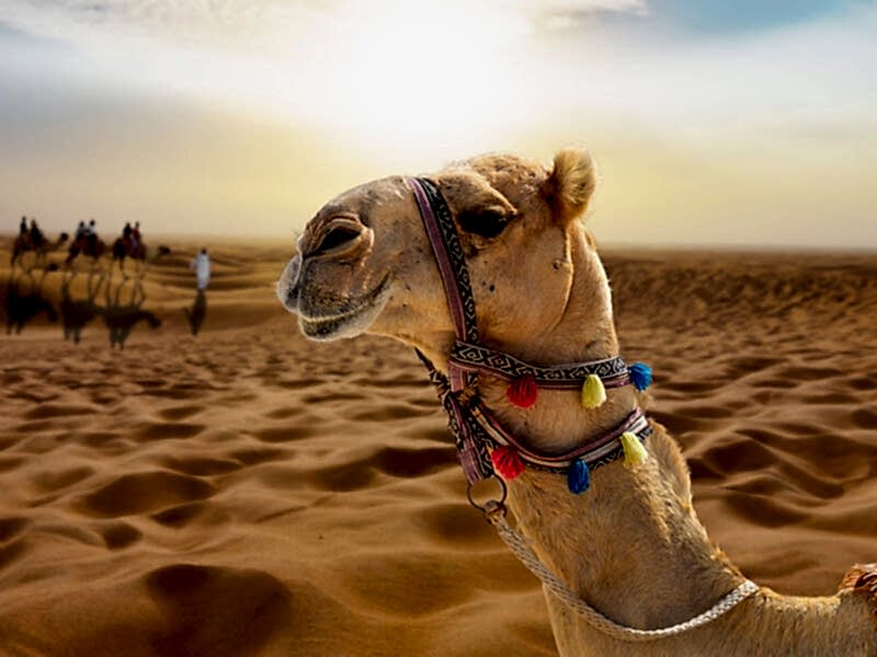 Dubai Serüveni Fly Dubai Hava Yolları ile 4 Gece 2026 Dönemi