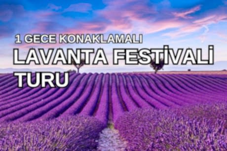 Lavanta Festivali Salda Gölü Pamukkale Turu 1 Gece Konaklama