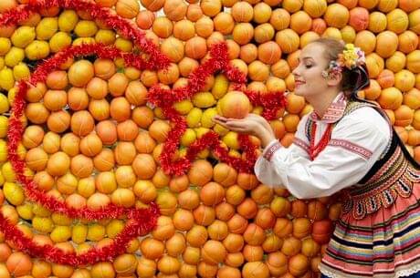  Adana Portakal Çiçeği Festivali Turu