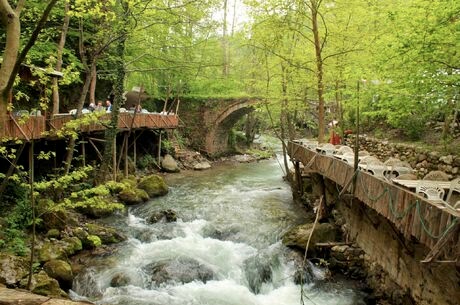Günübirlik Maşukiye Cam Teras Ormanya Hobbit Evleri Turu