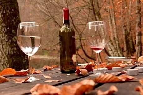 Yedigöller Turu / Günübirlik / İstanbul Kalkışlı