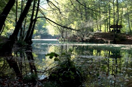 Yedigöller Turu / Günübirlik / İstanbul Kalkışlı