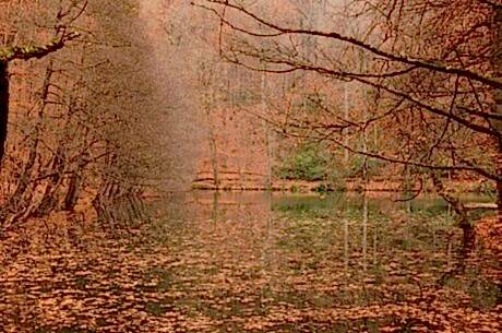 Yedigöller Turu / Günübirlik / İstanbul Kalkışlı