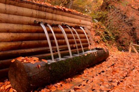 Yedigöller Turu / Günübirlik / İstanbul Kalkışlı