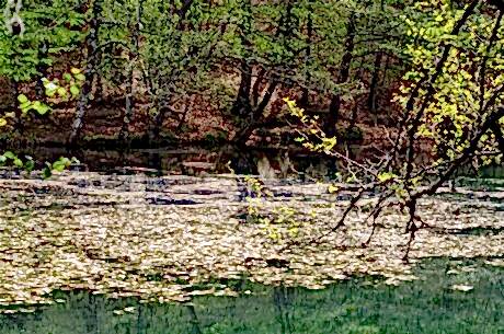 Yedigöller Turu / Günübirlik / İstanbul Kalkışlı