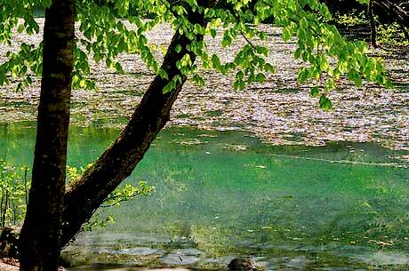 Yedigöller Turu / Günübirlik / İstanbul Kalkışlı