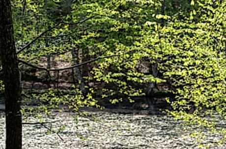 Yedigöller Turu / Günübirlik / İstanbul Kalkışlı