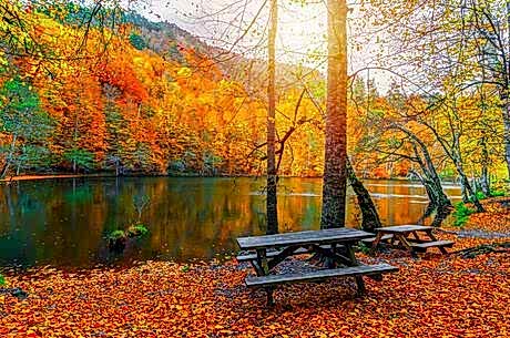 Yedigöller Turu / Günübirlik / İstanbul Kalkışlı