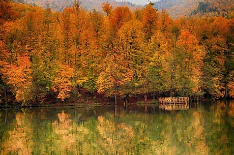 Yedigöller Turu / Günübirlik / İstanbul Kalkışlı